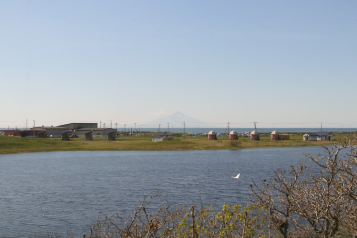 キャンプ場全景（沼）